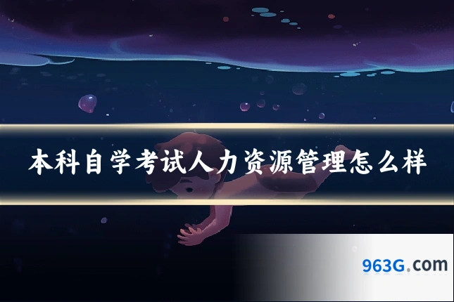 本科自学考试人力资源管理怎么样
