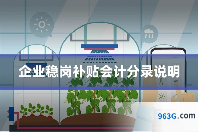 企业稳岗补贴会计分录说明