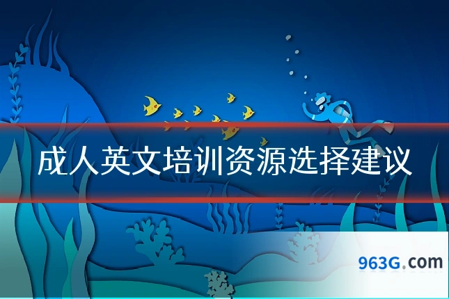 成人英文培训资源选择建议