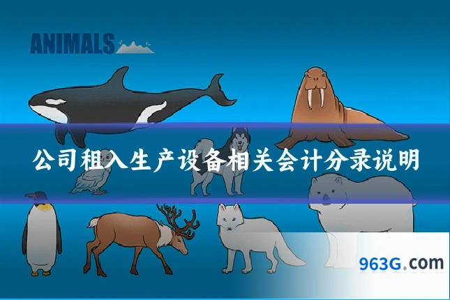 公司租入生产设备相关会计分录说明