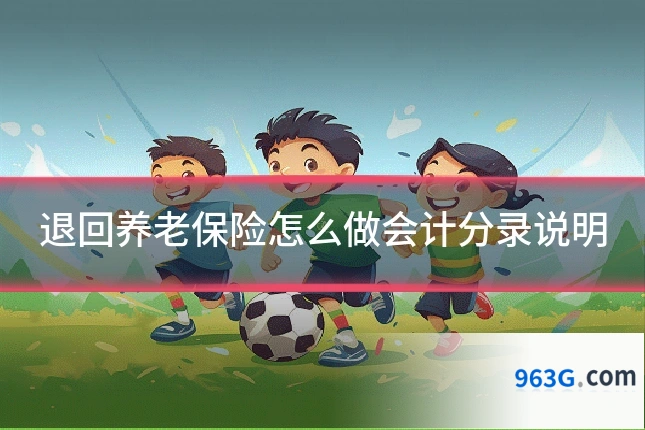 退回养老保险怎么做会计分录说明
