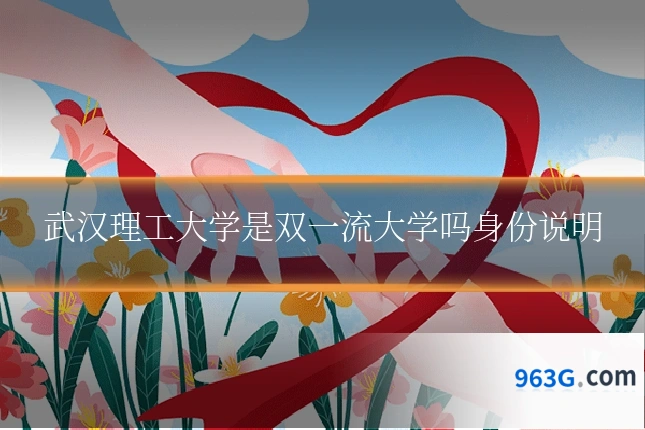 武汉理工大学是双一流大学吗身份说明