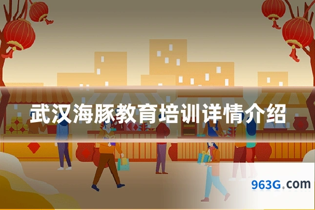 武汉海豚教育培训详情介绍