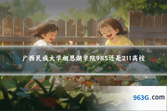 广西民族大学相思湖学院985还是211高校