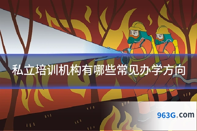 私立培训机构有哪些常见办学方向