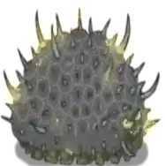 异虫女王官方最新版