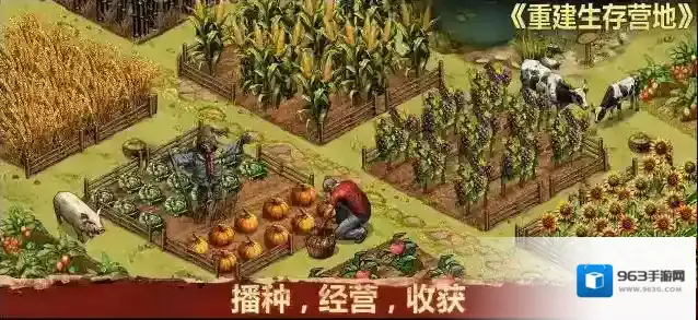 重建生存营地营地