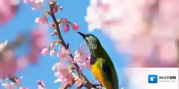 2026年假期放假时间表