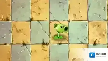 植物大战僵尸3阳光