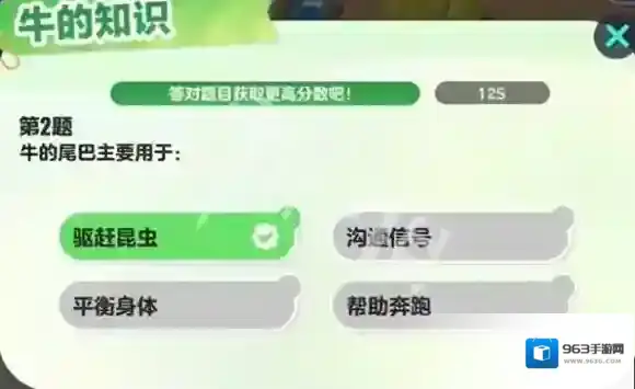 蛋仔派对主要用于