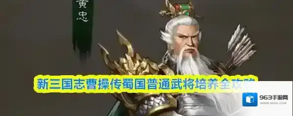新三国志曹操传蜀国普通武将培养全攻略
