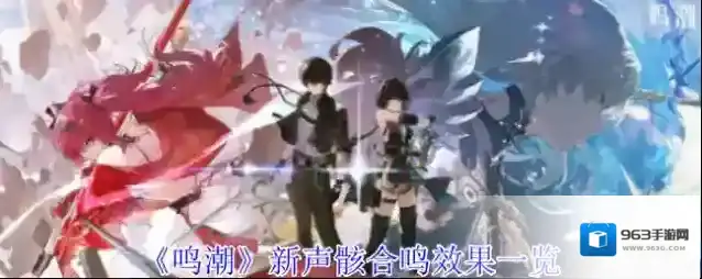 《鸣潮》新声骸合鸣效果一览
