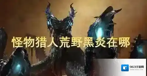 怪物猎人荒野寻找黑炎任务怎么做 怪物猎人荒野寻找黑炎任务攻略