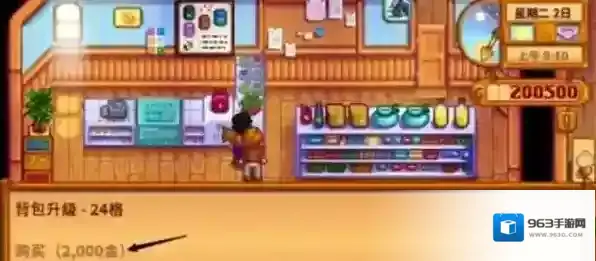 星露谷物语攻略