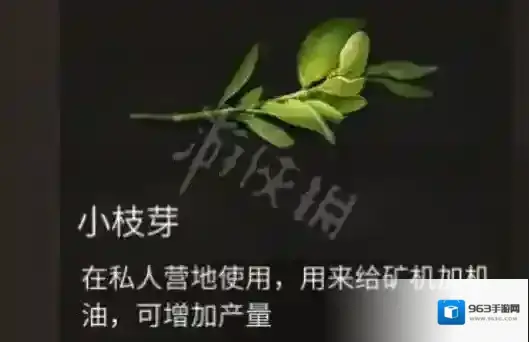 明日之后小枝芽怎么获得 明日之后小枝芽获得方法