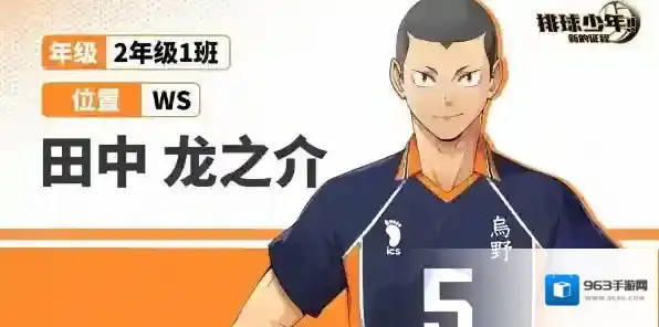 排球少年新的征程属性