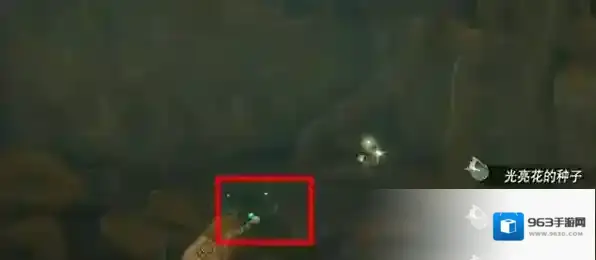 塞尔达传说王国之泪袋子