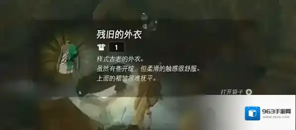 塞尔达传说王国之泪外衣