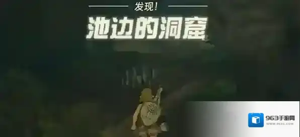 塞尔达传说王国之泪手柄