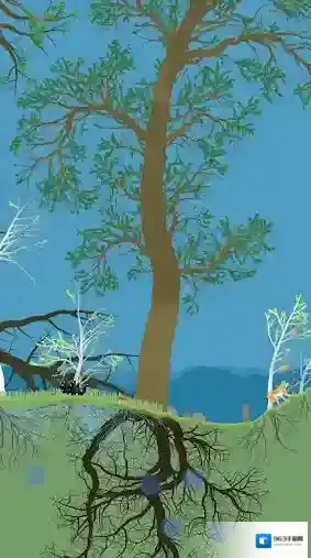 小松林生态系统