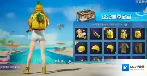 和平精英阳光菠萝套装多少钱-和平精英阳光菠萝套装价格一览