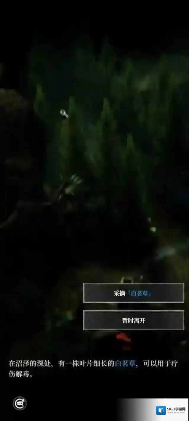 地下城堡4骑士与破碎编年史白茗草