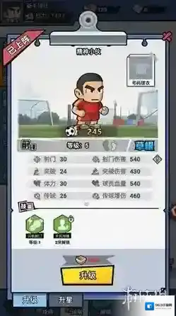 足球大人物球迷