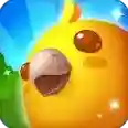 Bird Paradise官方最新版