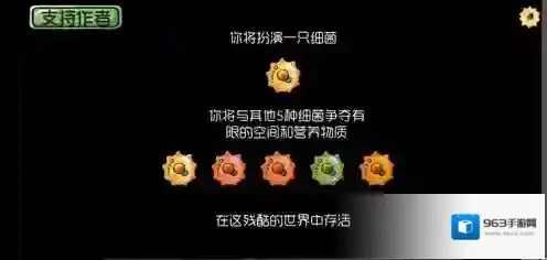 基因突变