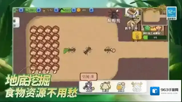岛上我最溜