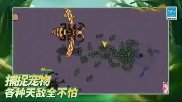 岛上我最溜