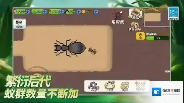 岛上我最溜