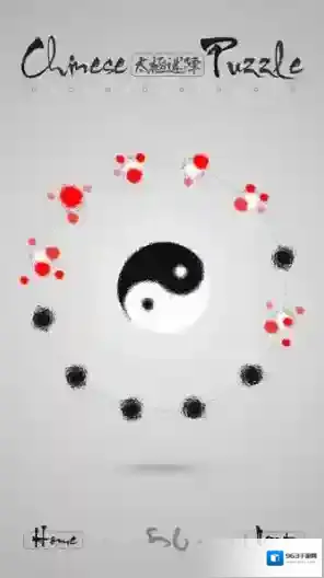 ChinesePuzzle