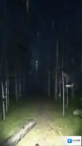 夜骑模拟器