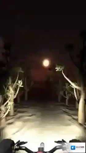 夜骑模拟器