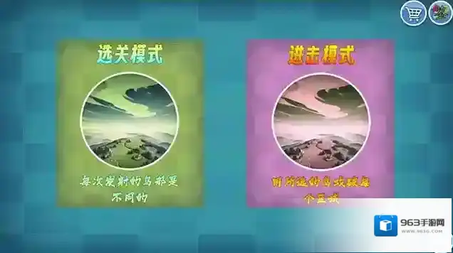我的鸟随机