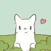 猫咪和汤-v2.51.0