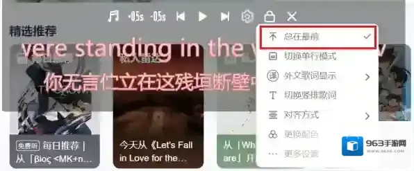 网易云音乐选项