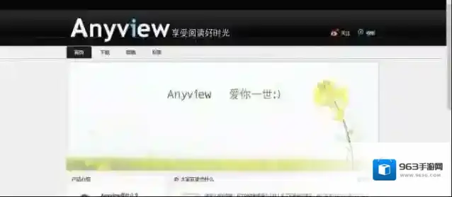 《开卷有益》与anyview的对比解析