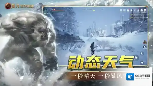 黑光生存进化晶木