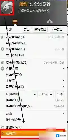 猎豹浏览器下载