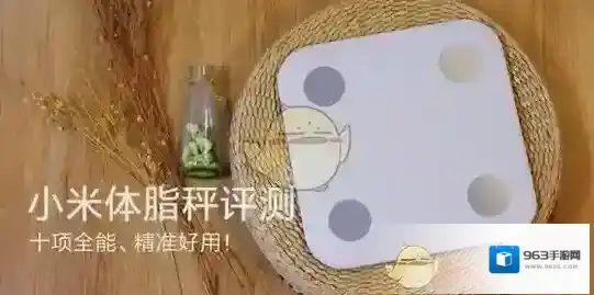 小米智能家庭小米体脂秤