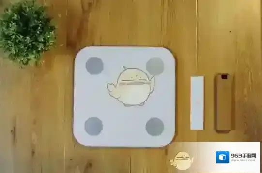 小米智能家庭体脂秤