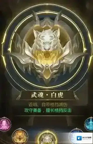 斗罗大陆白虎带什么魂环好