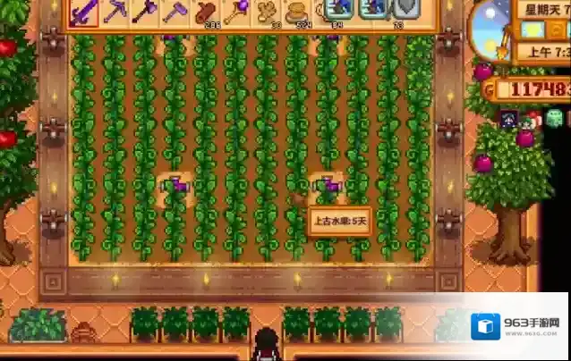 星露谷物语如何暴富