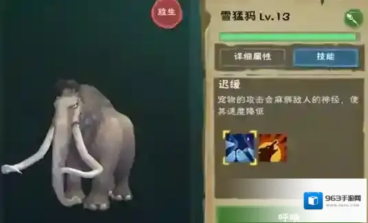 创造与魔法战斗宠物