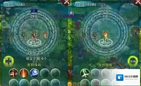 忘仙宠物技能厉害吗