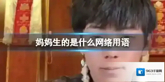 妈妈生的是什么网络用语 我是妈妈生的网络用语什么意思