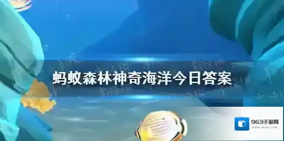 神奇海洋3月23日答案 伪虎鲸与虎鲸明显区别在于个头更大还是全身黑色