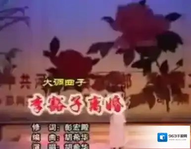 梗百科豁子